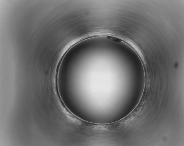 X0000095550861200712211408