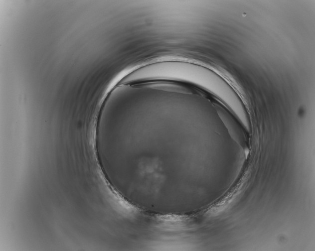 X0000095550862200712211408