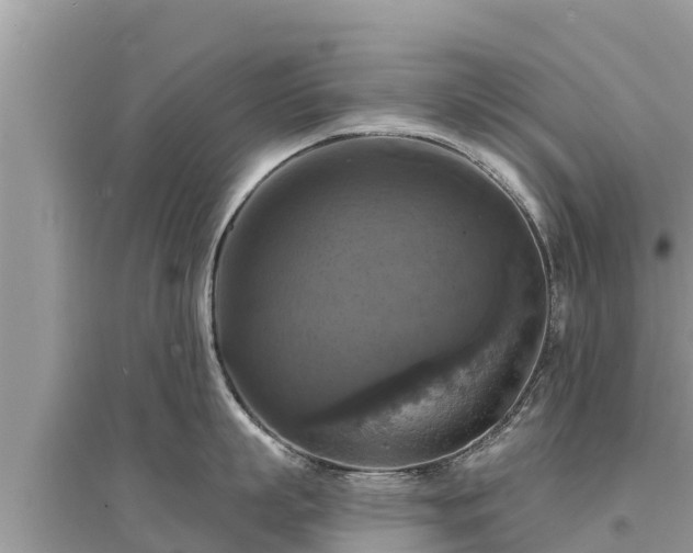 X0000095550863200712211408