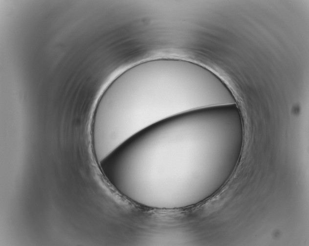 X0000095550864200712211408