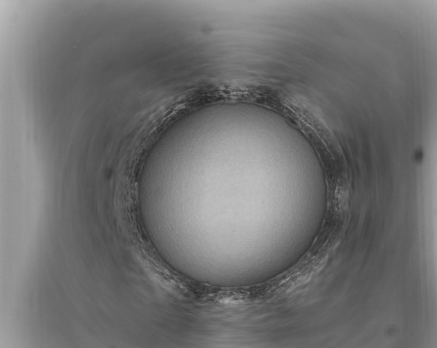 X0000095550865200712211407