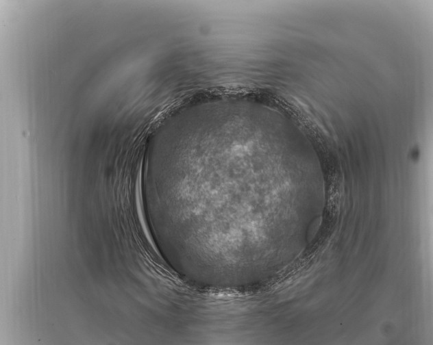 X0000095550866200712211407