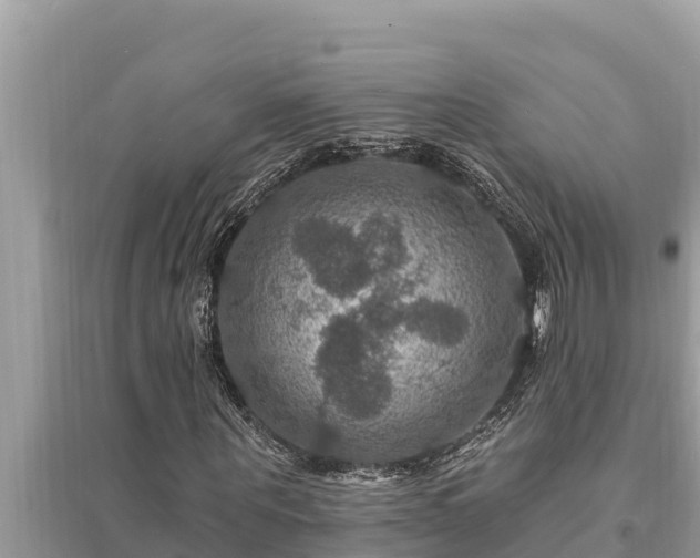 X0000095550867200712211407