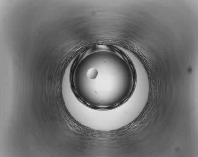 X0000095550868200712211407