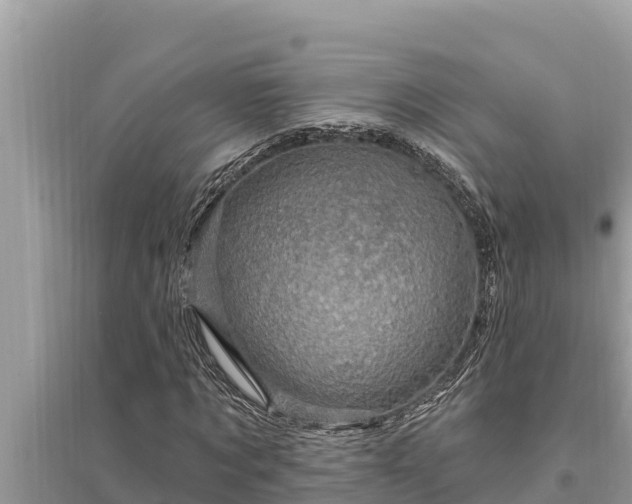 X0000095550869200712211407