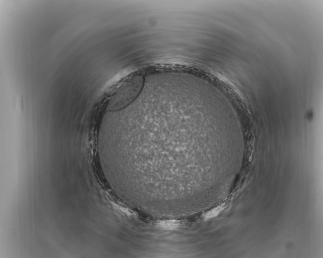 X0000095550870200712211407