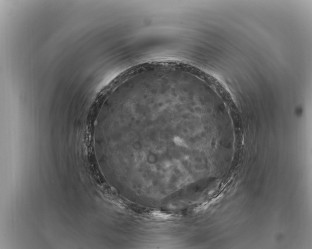 X0000095550871200712211407