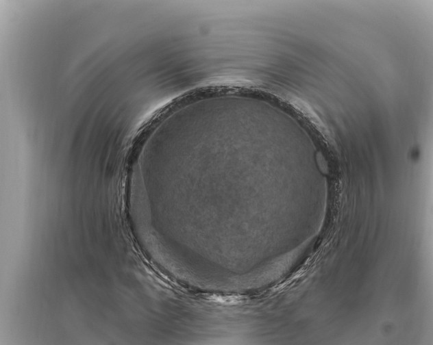 X0000095550872200712211407