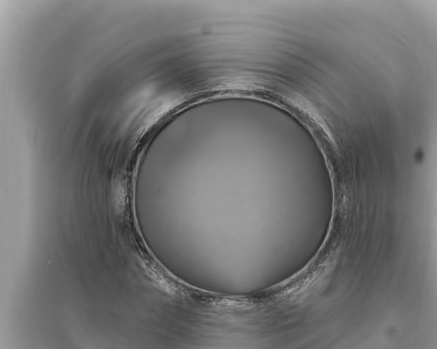 X0000095550874200712211407