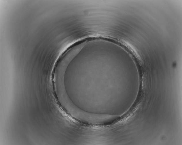 X0000095550876200712211407