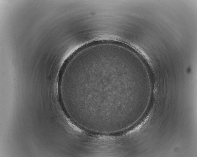 X0000095550877200712211407