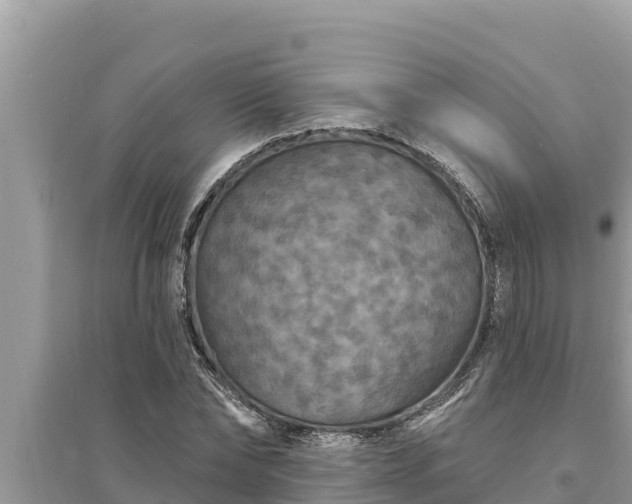 X0000095550878200712211407