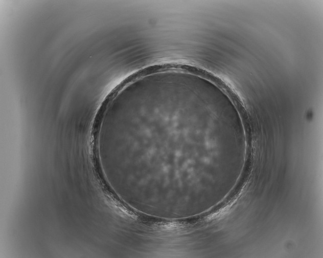 X0000095550879200712211407