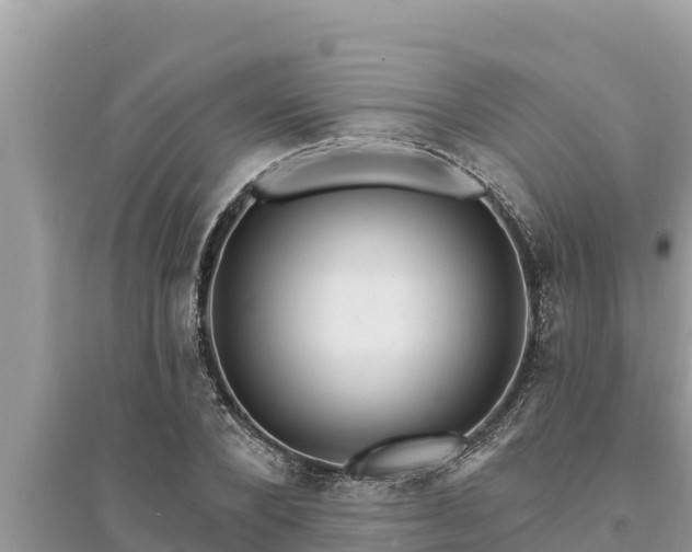 X0000095550880200712211407