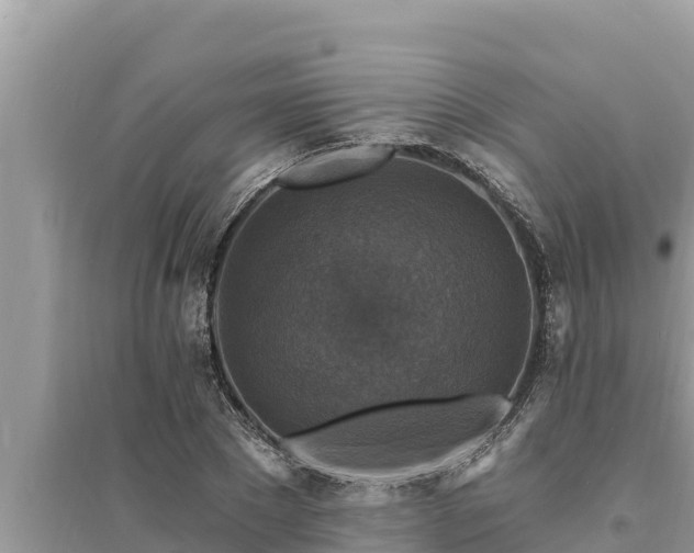 X0000095550881200712211407