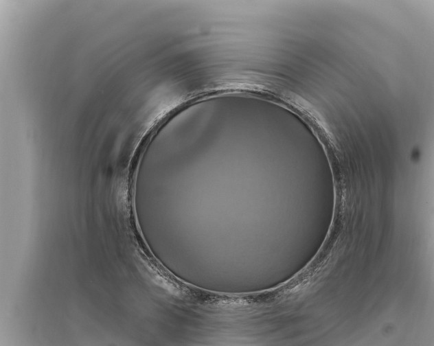 X0000095550882200712211407