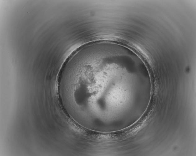 X0000095550883200712211407