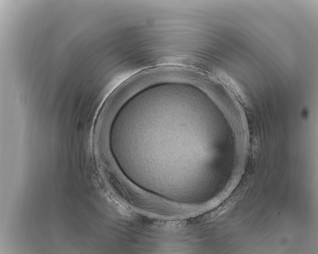 X0000095550884200712211407