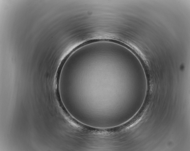 X0000095550885200712211407