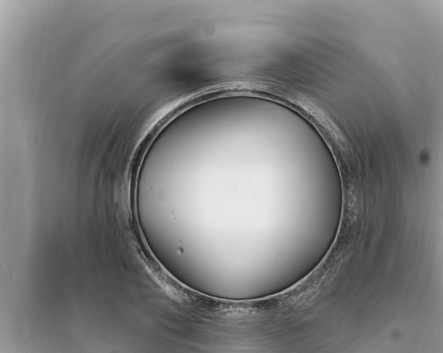 X0000095550886200712211407