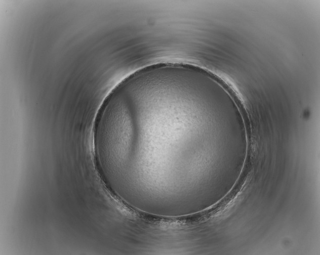 X0000095550887200712211407