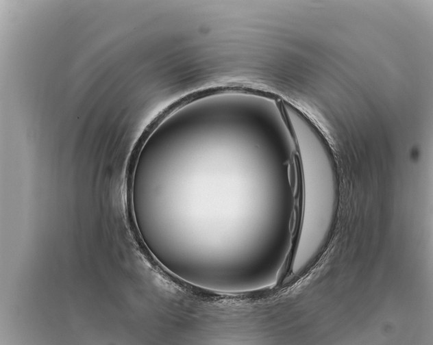 X0000095550888200712211407