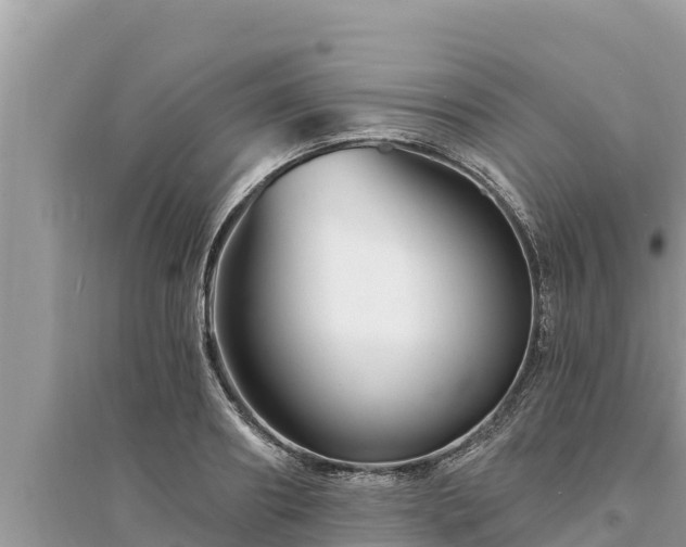 X0000095550890200712211407