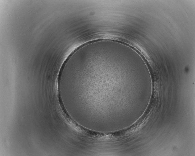 X0000095550891200712211407