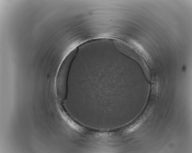 X0000095550892200712211407