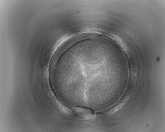 X0000095550893200712211407