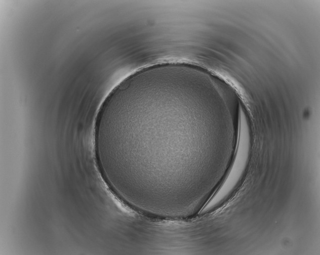 X0000095550894200712211407