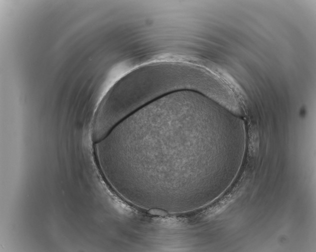 X0000095550896200712211407