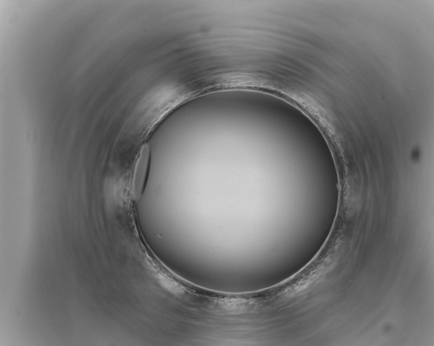 X0000095550897200712211407