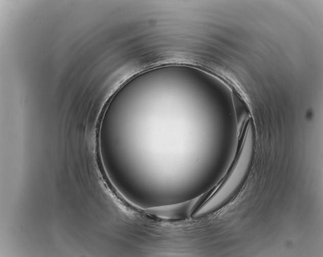 X0000095550898200712211407