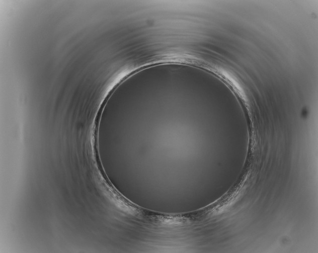 X0000095550899200712211407