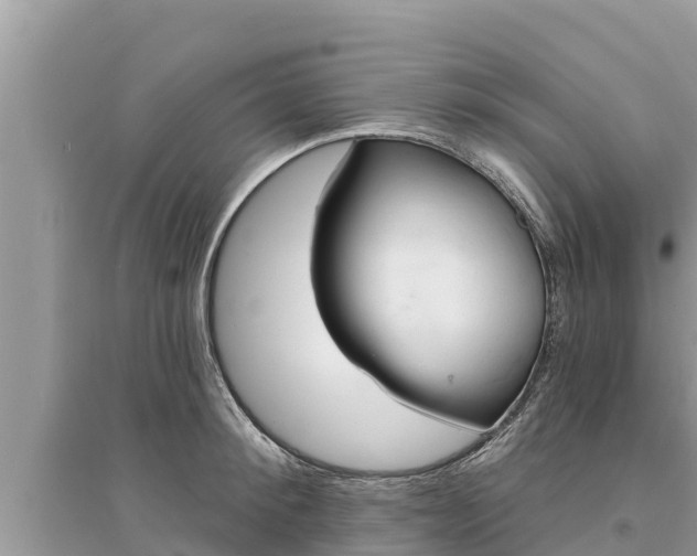 X0000095550900200712211407