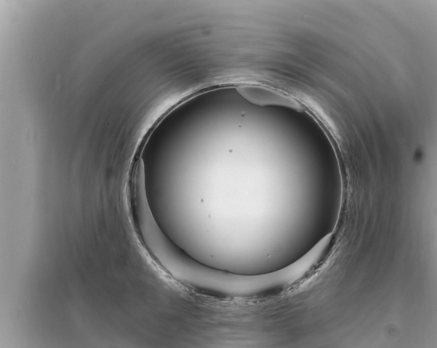 X0000095550901200712211407