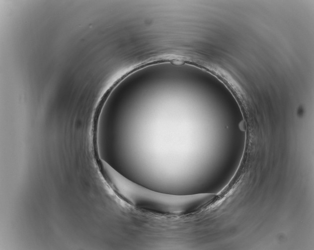 X0000095550902200712211407