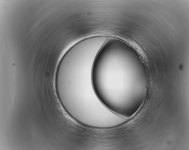 X0000095550904200712211407