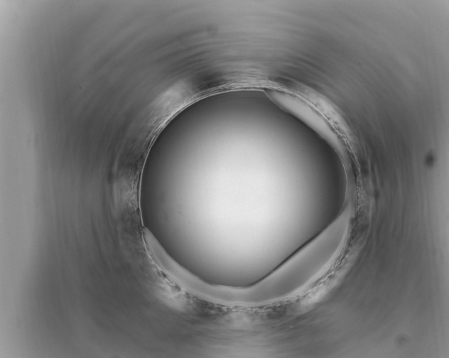 X0000095550905200712211407