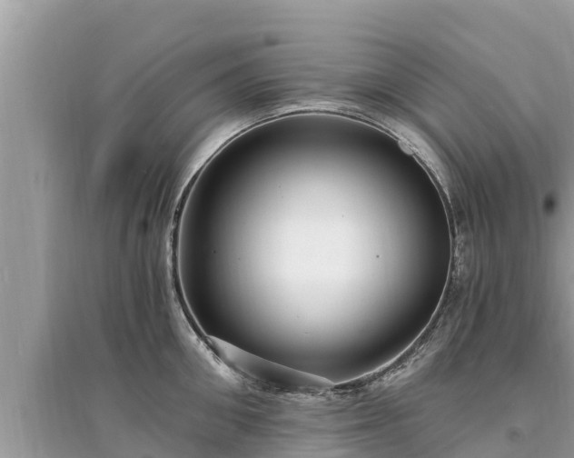 X0000095550906200712211407