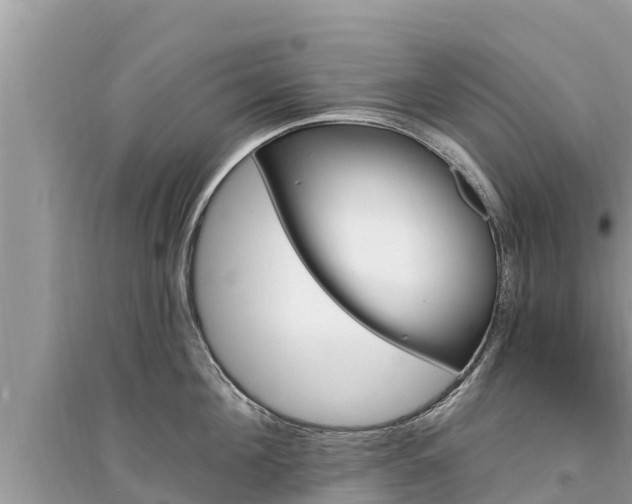 X0000095550908200712211407