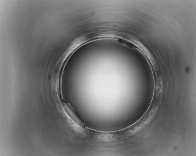 X0000095550909200712211407