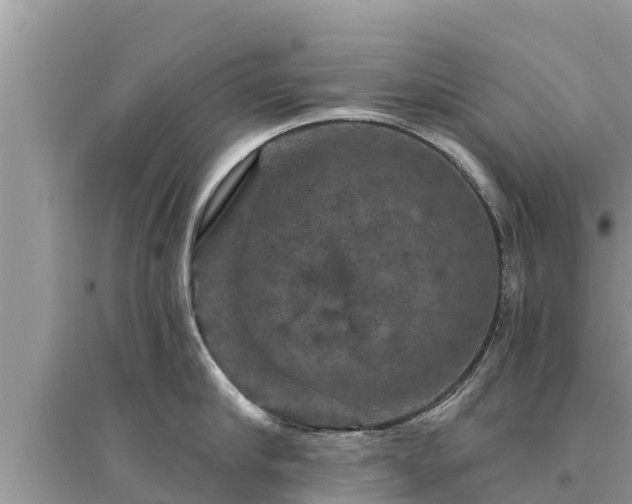 X0000095550910200712211407