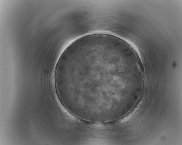 X0000095550911200712211407