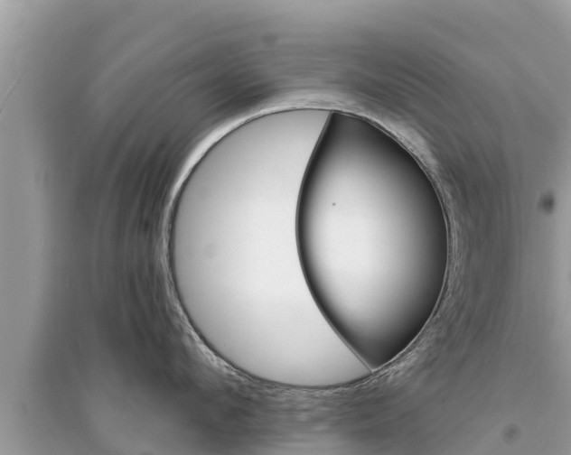 X0000095550912200712211407