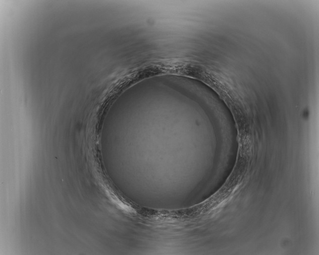 X0000095550913200712211406