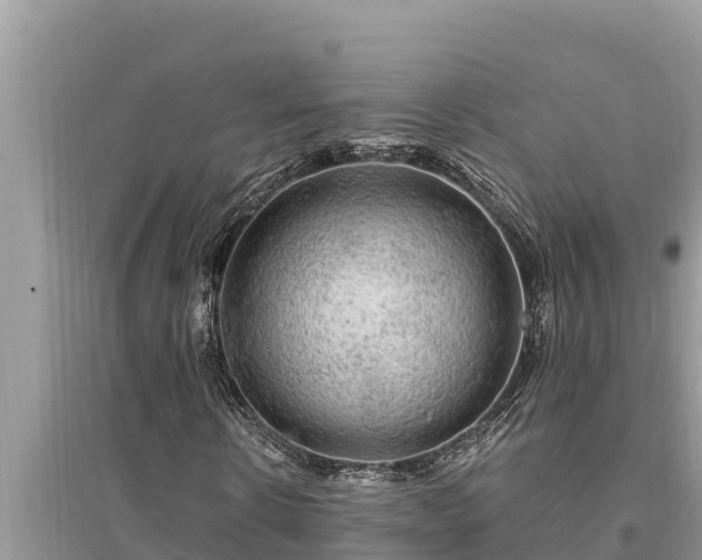 X0000095550914200712211406