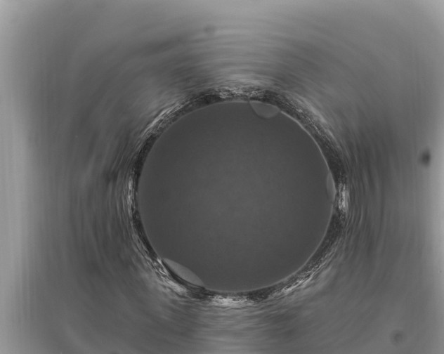 X0000095550915200712211406