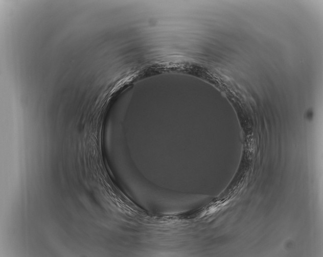 X0000095550916200712211406